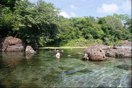Foto: Silvio Quirino - Goi