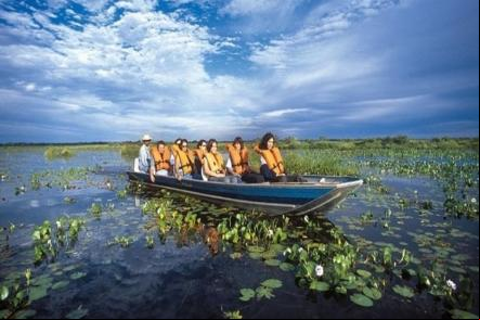 Pantanal Pocon