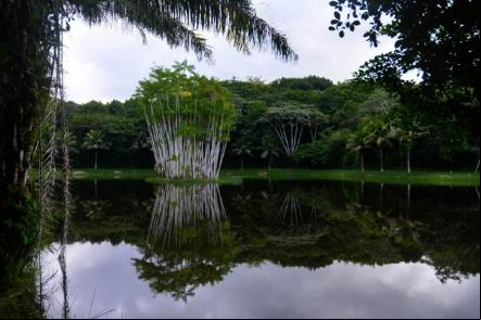 Eco Parque Sau