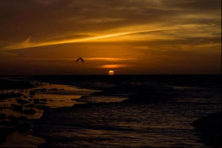 Por do  Sol em Camocim - Foto: Ewertonn Dourado (Licen