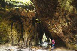 Gruta da Catedral (Presidente Figueredo) Foto: JP Viagens e Caminhos