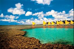 Piscinas Naturais de Porto de Galinhas - Foto: Minist