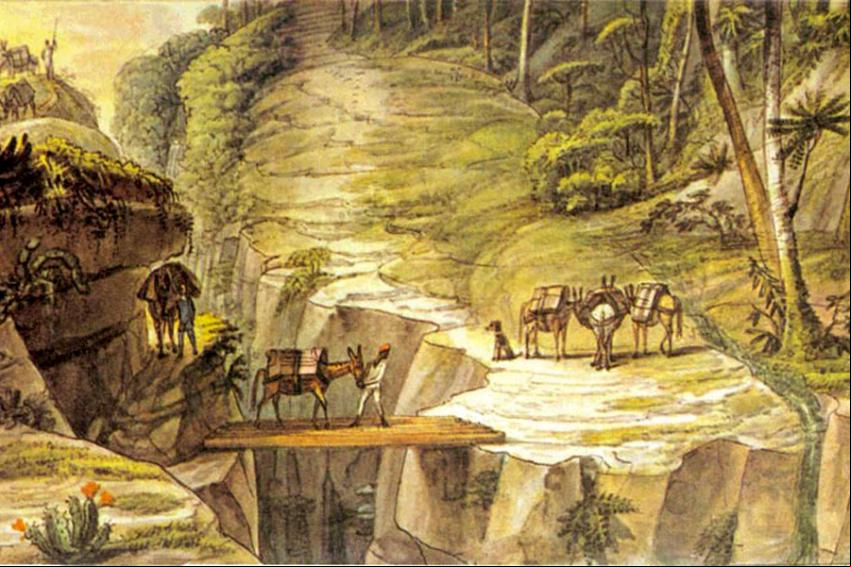 Divisa do Paran