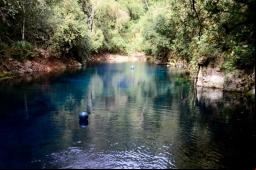Lagoa Misteriosa (Bonito-Ms) - Foto: Fernanda de Oliveira Santos