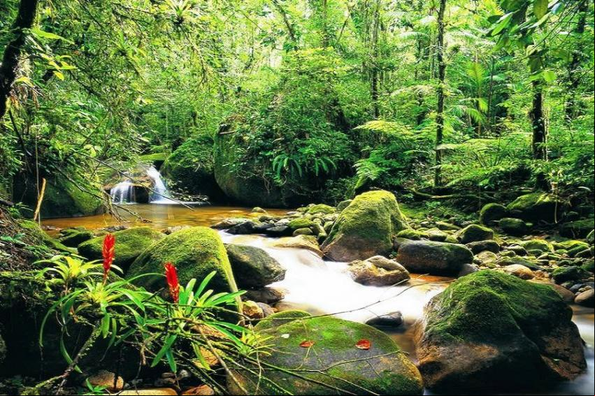 Rio Carir